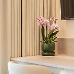 Apartment Aloha Centrum Szczecin