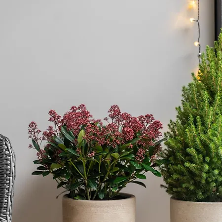 아파트 Aloha Centrum *