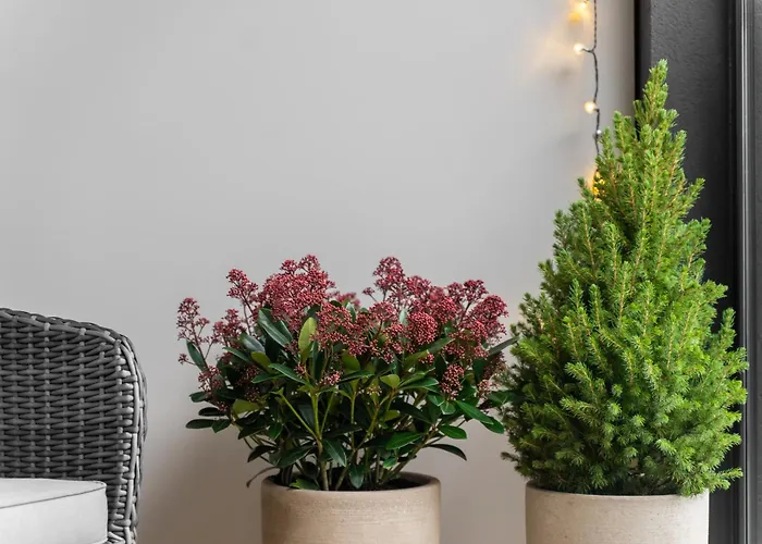 Appartamento Aloha Centrum *